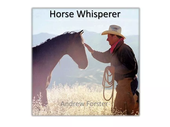 horse whisperer