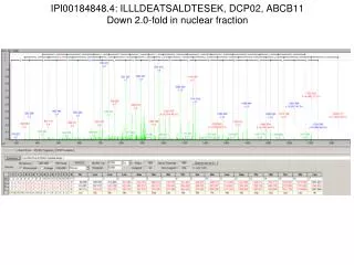 IPI00184848.4: ILLLDEATSALDTESEK, DCP02, ABCB11 Down 2.0-fold in nuclear fraction
