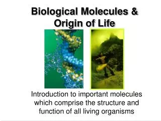Biological Molecules &amp; Origin of Life