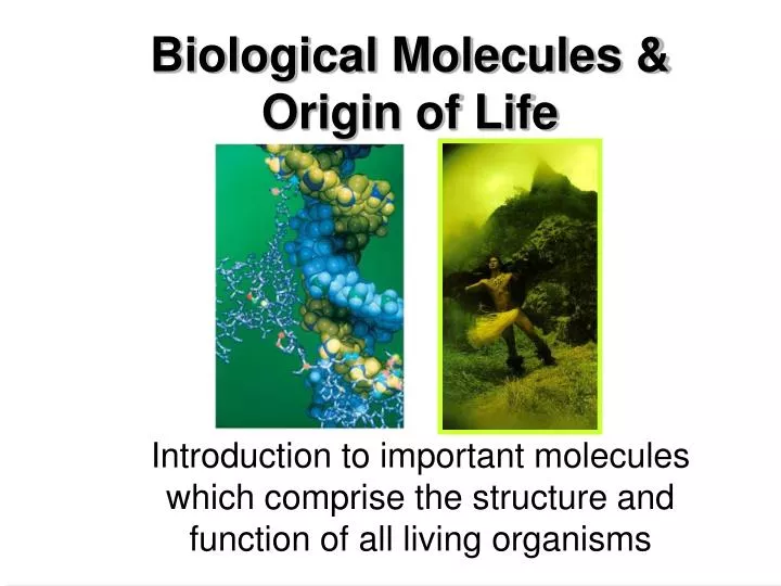biological molecules origin of life
