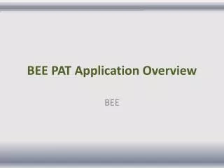 BEE PAT Application Overview