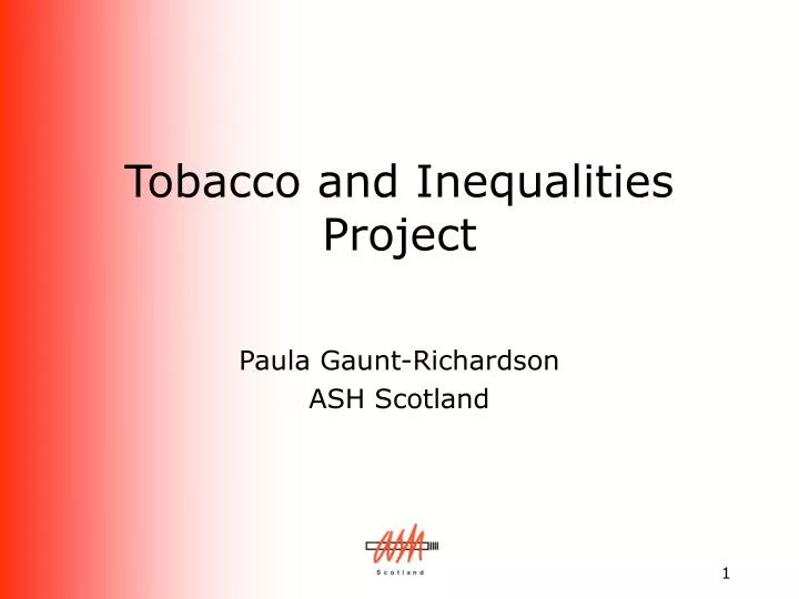 tobacco and inequalities project