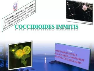 coccidioides i mmitis