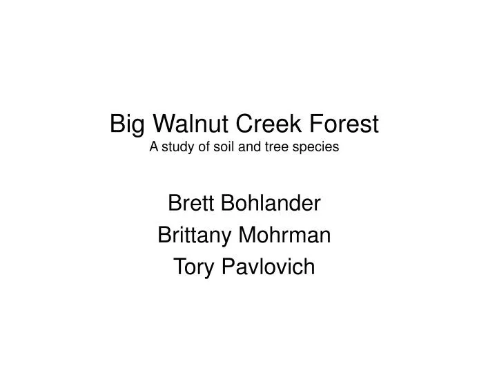 big walnut creek forest a study of soil and tree species