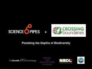 Plumbing the Depths of Biodiversity