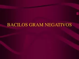 bacilos gram negativos