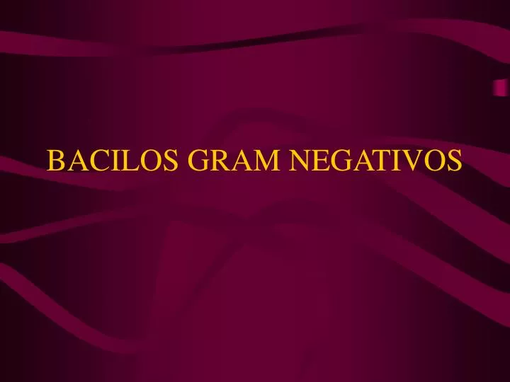 bacilos gram negativos