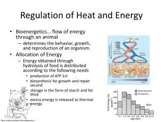 regulation of heat and energy