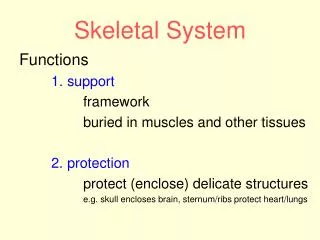 Skeletal System