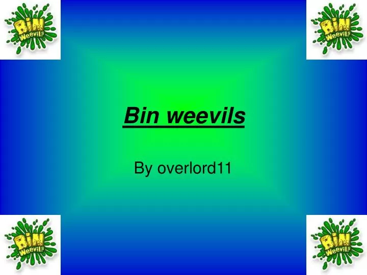 bin weevils