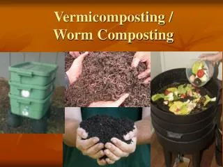 Vermicomposting / Worm Composting