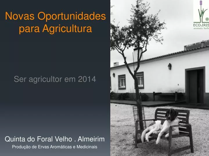 novas oportunidades para agricultura