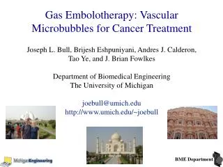 Gas Embolotherapy: Vascular Microbubbles for Cancer Treatment