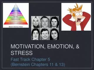 MOTIVATION, EMOTION, &amp; STRESS