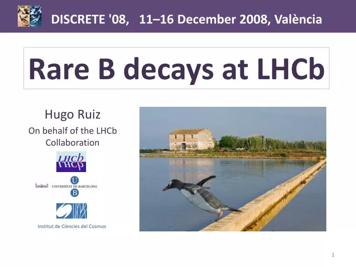 rare b decays at lhcb