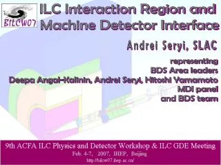 ILC Interaction Region and Machine Detector Interface