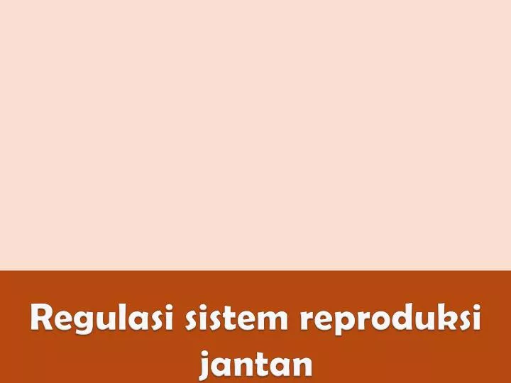 r egulasi sistem reproduksi jantan