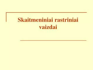 skaitmeniniai rastriniai vaizd ai