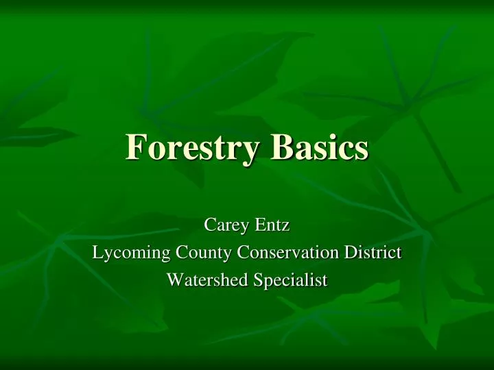 forestry basics