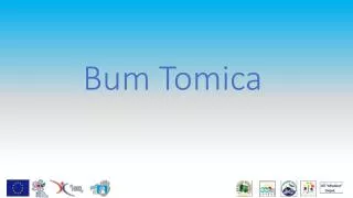 bum tomica