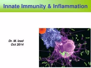 Innate Immunity &amp; Inflammation