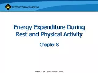 Energy Expenditure During Rest and Physical Activity