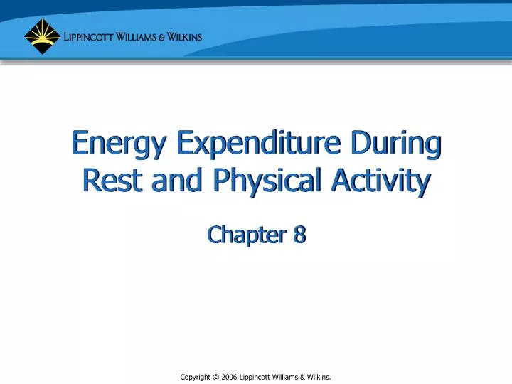 energy expenditure during rest and physical activity