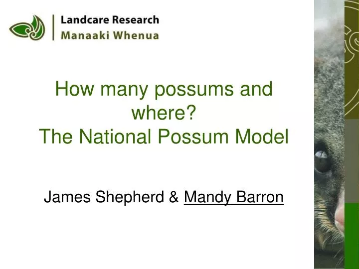 how many possums and where the national possum model