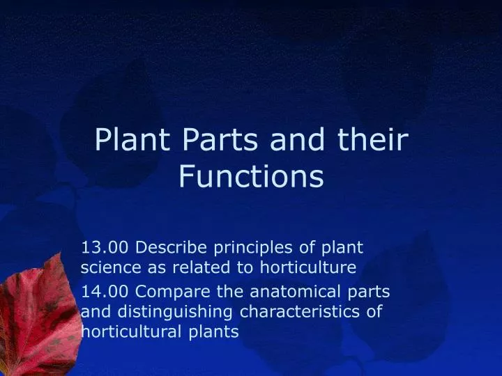 plant parts and their functions