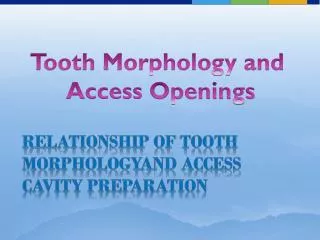 Tooth Morphology and Access Openings