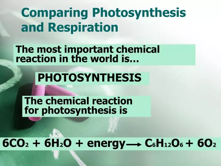 comparing photosynthesis and respiration