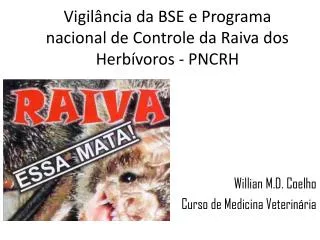 vigil ncia da bse e programa nacional de controle da raiva dos herb voros pncrh