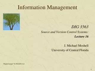 Information Management