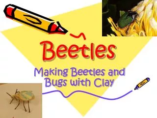 Beetles