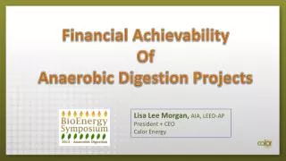Financial Achievability Of Anaerobic Digestion Projects