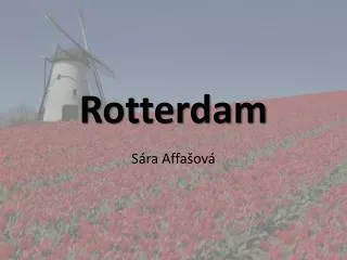 rotterdam