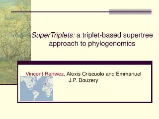 SuperTriplets: a triplet-based supertree approach to phylogenomics
