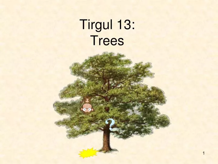 tirgul 13 trees