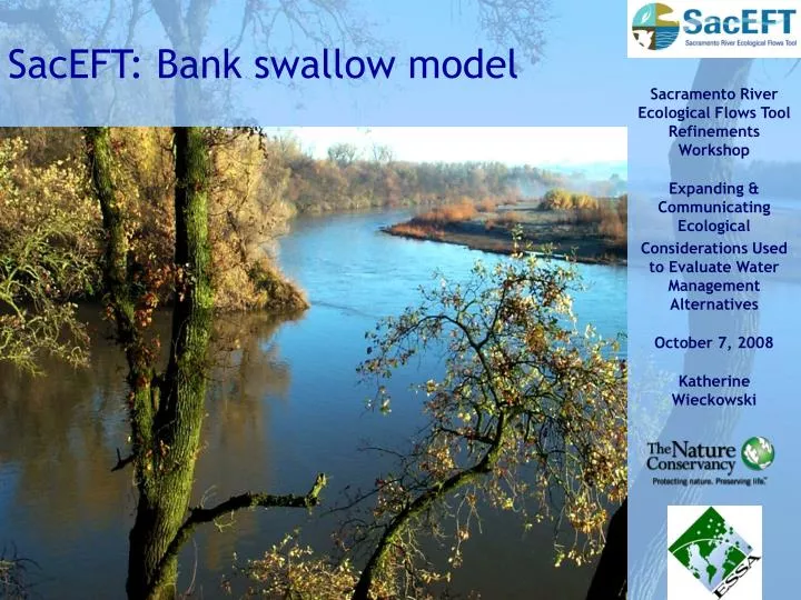 saceft bank swallow model