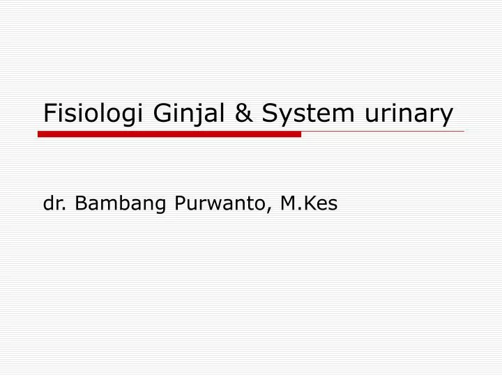 fisiologi ginjal system urinary