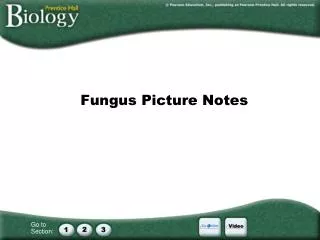 Fungus Picture Notes