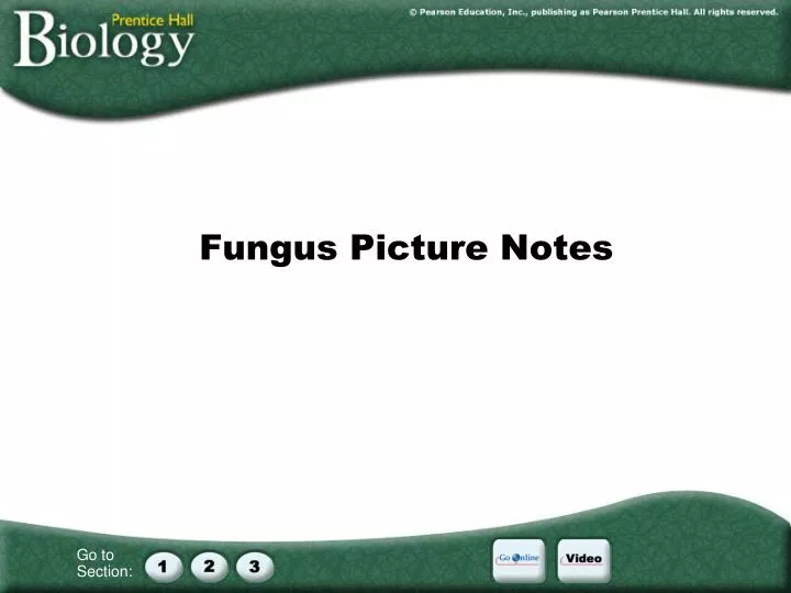 fungus picture notes