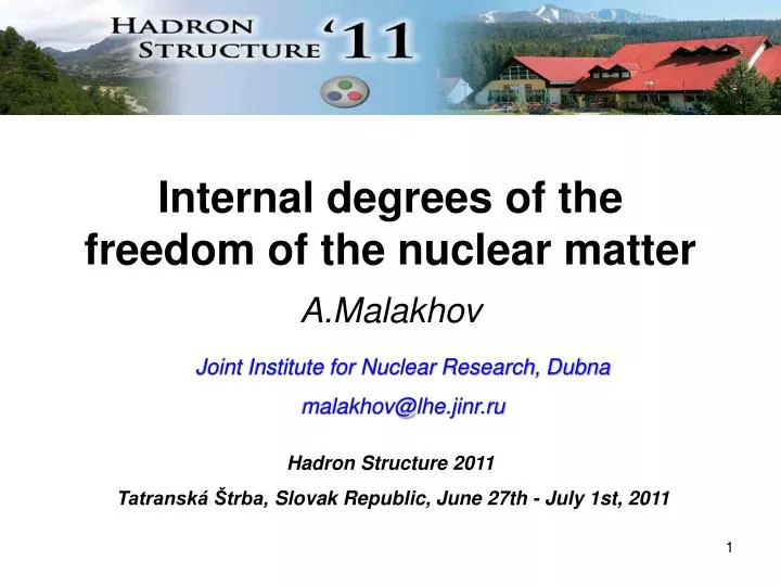 internal degrees of the freedom of the nuclear matter