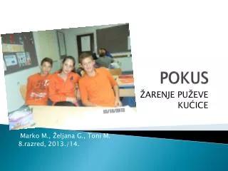pokus