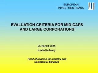EVALUATION CRITERIA FOR MID-CAPS AND LARGE CORPORATIONS
