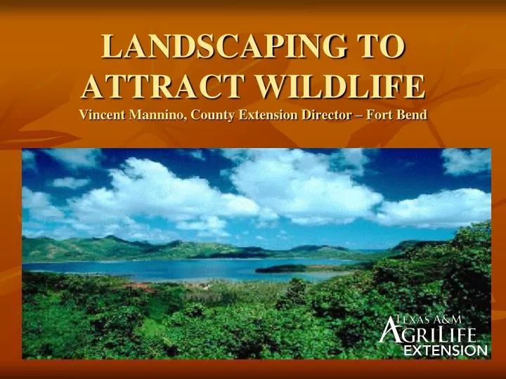 landscaping to attract wildlife vincent mannino county extension director fort bend