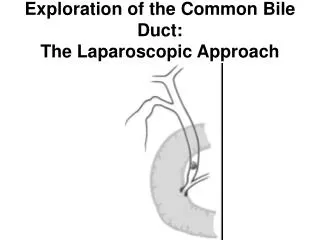 Exploration of the Common Bile Duct: T he Laparoscopic Approach