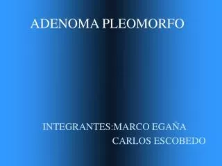adenoma pleomorfo