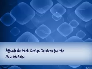 Affordable Web Design Services for the New Website