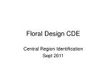 Floral Design CDE
